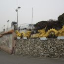 삼국지당구장 이미지