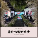 사천시문화예술회관 야외화장실 | 울산 웨딩홀 투어 [보람컨벤션] 후기 / 장단점, 견적