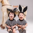 기념사진관 이미지
