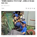 또 나타났다매춘부,지아...우체국...전과자...휴먼빙의미...교도소,엘지,문,공공주택에서 이미지
