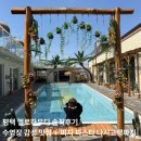 하우디 | 평택 할로하우디 솔직후기｜수영장 감성 맛집 + 피자 파스타 나시고랭까지 다 맛있었던 곳