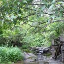 쥬얼리 펜션 이미지