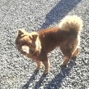 수양목장 이미지