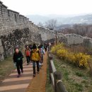 숲길 걷기 동아리 활동 이미지