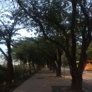 멘체스터당구장 이미지