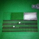 TIP스크린골프 이미지