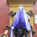 황금이삭 이미지