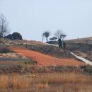 숲쟁이로 이미지