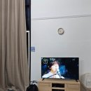진안 hami숲