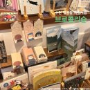 수원-1511 | 수원 행궁동 독립서점 브로콜리숲 I 행리단길 소품샵 코스 추천