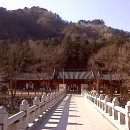 황태마을 이미지