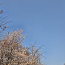 아임브리또 | 분명히 꿈이 있었을테니까