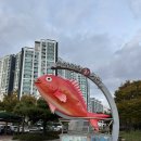 NR-1[고하대로]-상-16 | 목포 횟집 북항회센터 선희네횟집 — 자연산 회 한상 푸짐하게 즐긴 후기