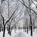 자매공원 이미지