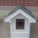 전원애견 이미지