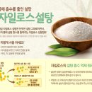 팀터틀랫유성
