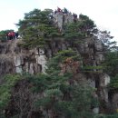 머털도사 이미지