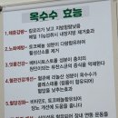옥면옥 이미지