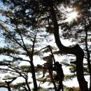 명인주 네이버블로그
