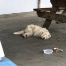 GS25 서평택IC점 이미지