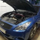 미니게라지 이미지