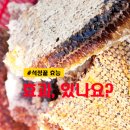 석청 | 석청꿀 효능 및 보관 방법