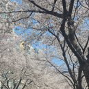 삼문풋살경기장 이미지