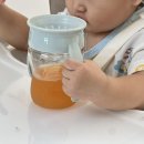 와우베이비 | 돌아기 빨대컵 12개월 아기 컵 연습 시기 와우컵 베이비 스노우 후기