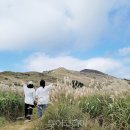 청자축산 이미지