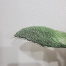 에스티뷰티 - 창원시 성산구 대암로105번길 8-19 | 에스티뷰티