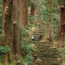 세계유산코스 이미지