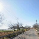 임자공인중개사사무소 이미지