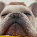 폴리파크 칠곡점 이미지