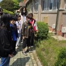 다목초등학교 Daum카페