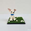 기억할개 이미지