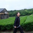 패밀리만두 이미지