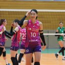 흥국생명 이미지