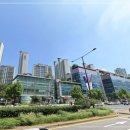 잠일초등학교(내) 네이버블로그