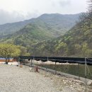 원동포시즌 이미지