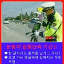 (에)~~ 이번 2020 설날 고속도로(민자 포함) 무료 리용 정(보) 이미지