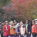 폭포약수 이미지