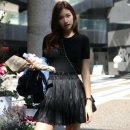 애버그린 이미지