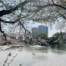 중리천로113번길 이미지