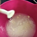 토토애견 이미지