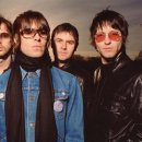 오아시스 이미지