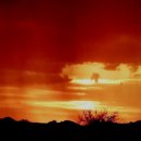 쏘울메이트(Soul mate) 이미지