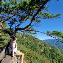 옥류동쉼터 화장실 | 청량동매표소~ 청량사~ 남산제일봉(정상)~ 돼지골탐방센터~ 소리길(옥류동계곡)~ 황산주차장~ 청량동매표소