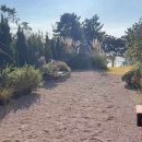 아이조아라 이미지