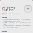 아이언펫