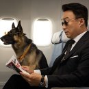 (주)코엔터테인먼트 이미지